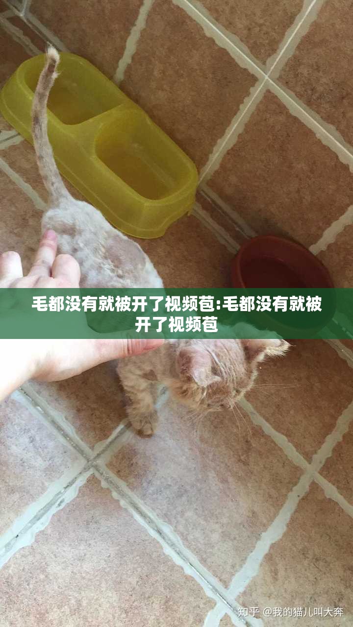 毛都没有就被开了视频苞:毛都没有就被开了视频苞