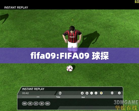 fifa09:FIFA09 球探