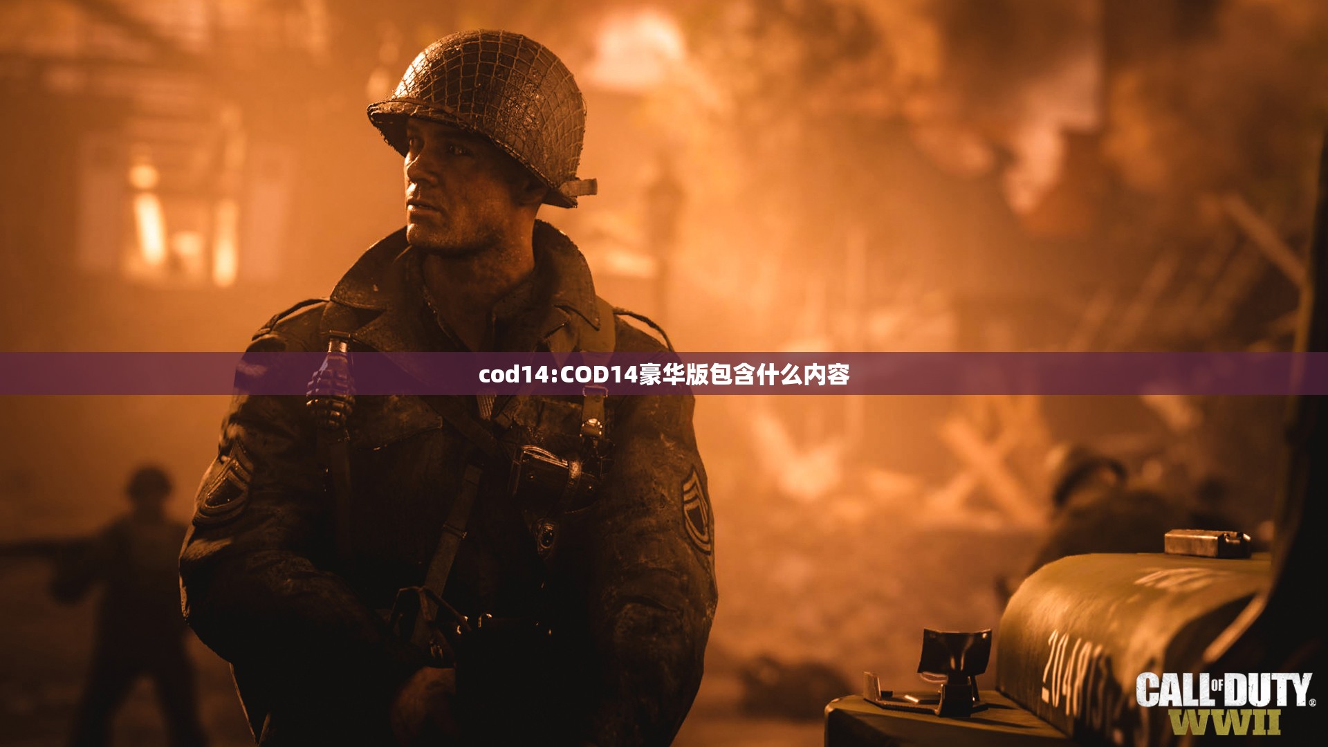 cod14:COD14豪华版包含什么内容