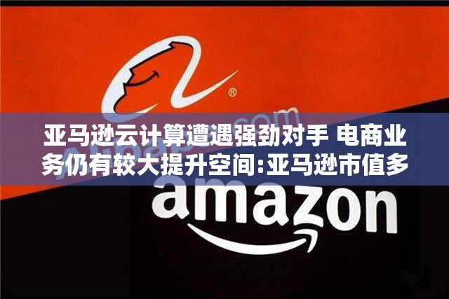 亚马逊云计算遭遇强劲对手 电商业务仍有较大提升空间:亚马逊市值多少亿2023年