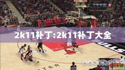 2k11补丁:2k11补丁大全