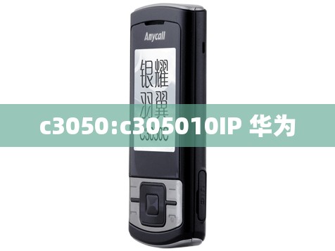 c3050:c305010IP 华为