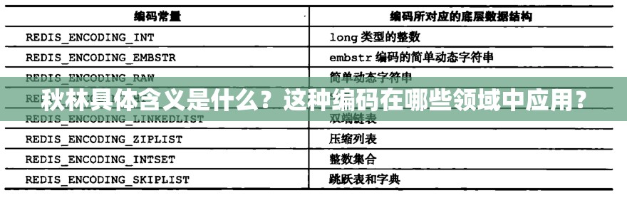 秋林具体含义是什么？这种编码在哪些领域中应用？