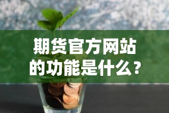 期货官方网站的功能是什么？这种网站对投资者有何帮助？