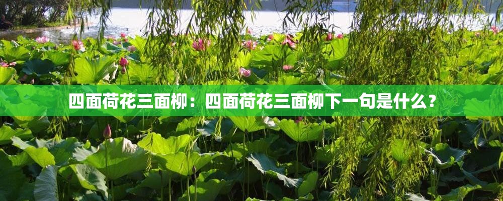 四面荷花三面柳：四面荷花三面柳下一句是什么？