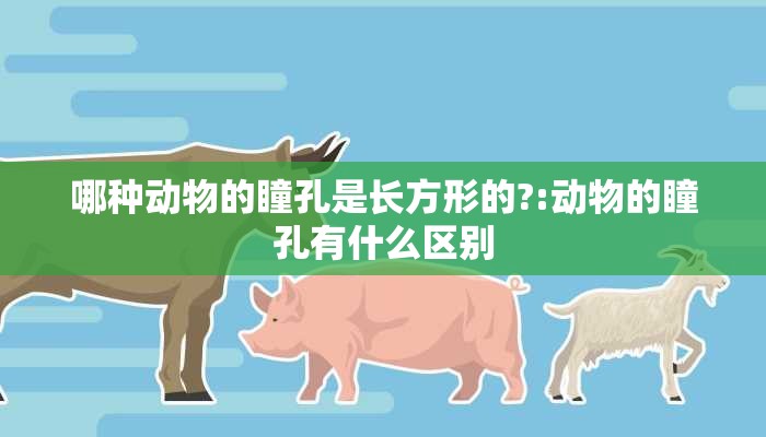 哪种动物的瞳孔是长方形的?:动物的瞳孔有什么区别