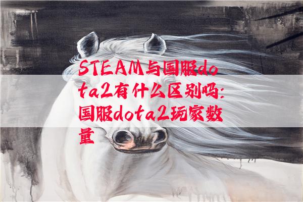 STEAM与国服dota2有什么区别吗:国服dota2玩家数量