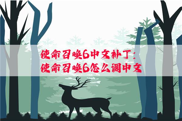 使命召唤6中文补丁：使命召唤6怎么调中文