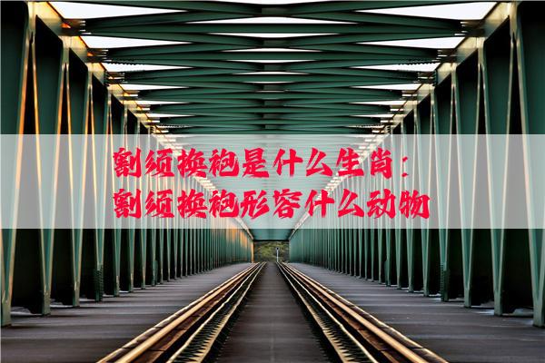 割须换袍是什么生肖：割须换袍形容什么动物